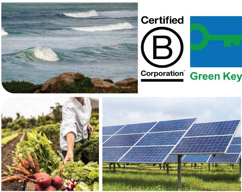 The Top Ten Takeaways on the State of Sustainability in European Incentive Programs
