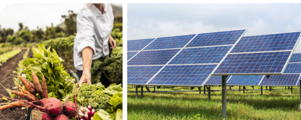 IRF Releases Study on Sustainability in European Incentive Travel Programs